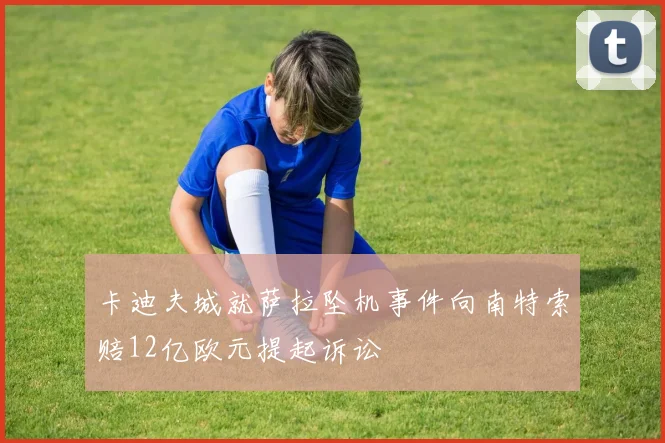 卡迪夫城就萨拉坠机事件向南特索赔12亿欧元提起诉讼