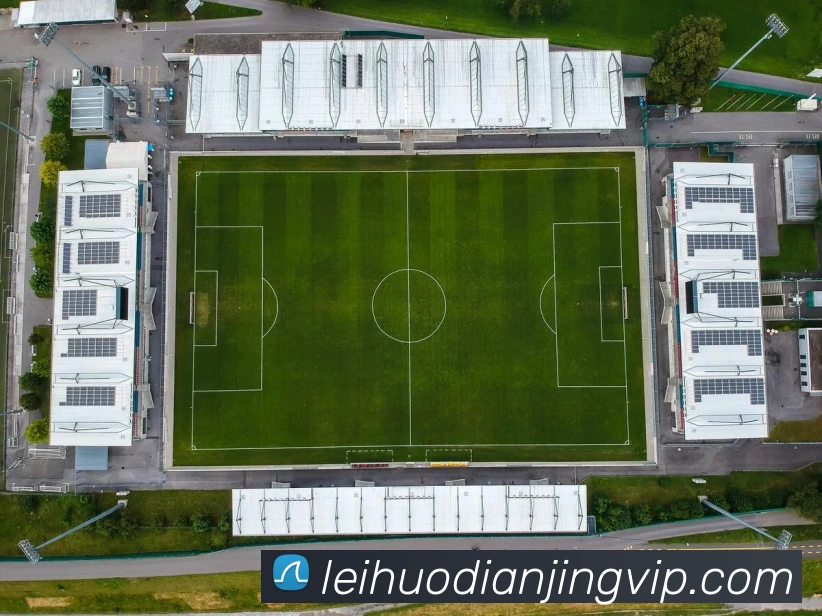 雷火电竞平台生态图