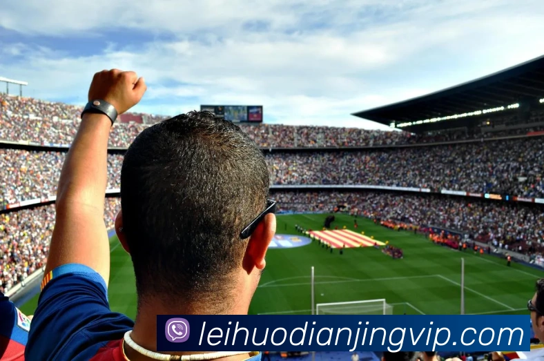 雷火电竞APP 封面图